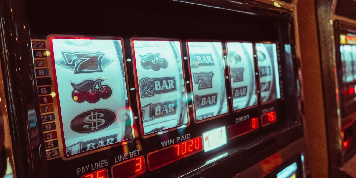 초기 성공이 증거처럼 느껴지는 이유